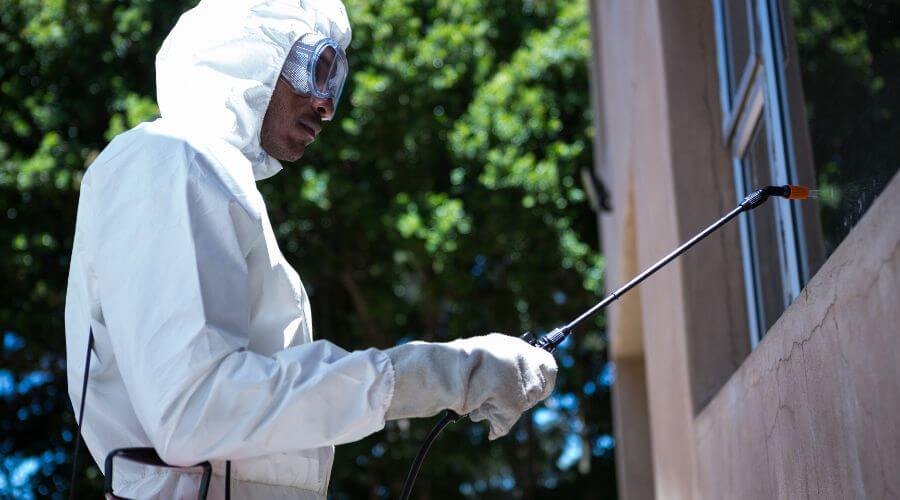 Why choose Best Darn Pest Control for pest control service in Port St. Lucie